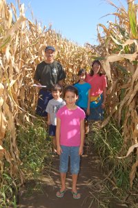 maze photo